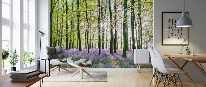 PHOTOWALL / Bluebells (e321031)