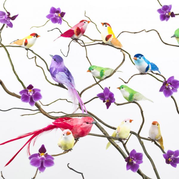 PHOTOWALL / Color Up Birds - Bright (e321034)