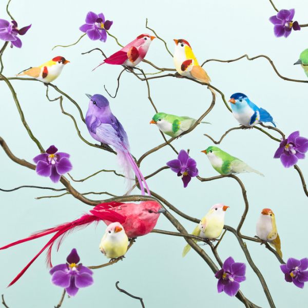 PHOTOWALL / Color Up Birds (e321035)