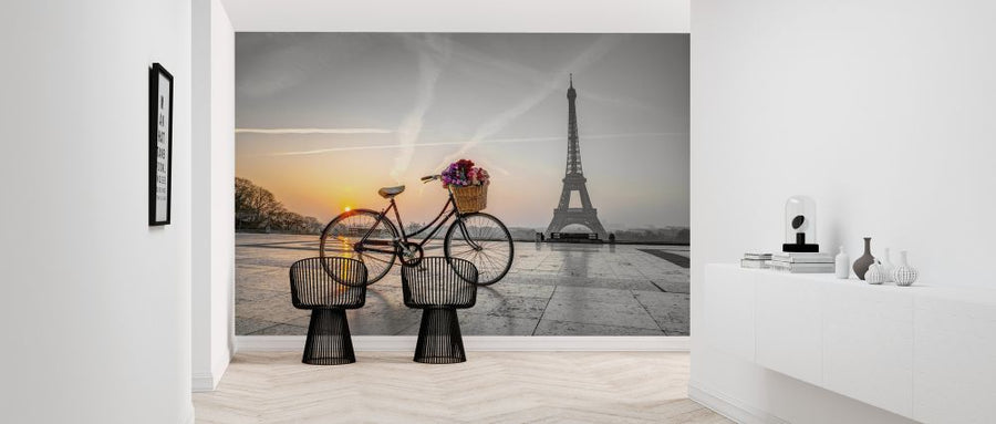 PHOTOWALL / Bicycle Paris (e321040)