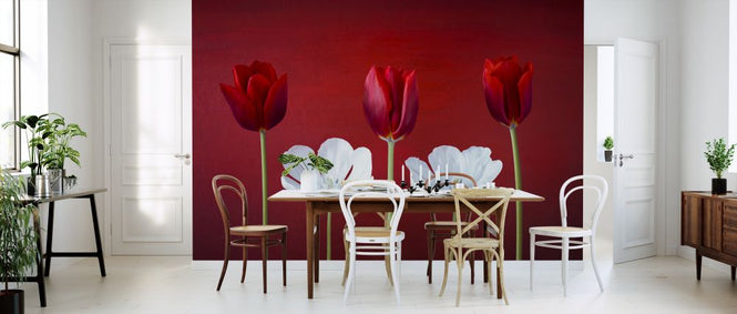 PHOTOWALL / Tulips Arrangement (e321041)