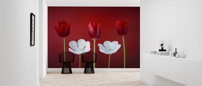 PHOTOWALL / Tulips Arrangement (e321041)