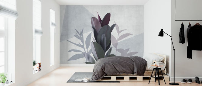 PHOTOWALL / Ficus Elastica II (e321282)