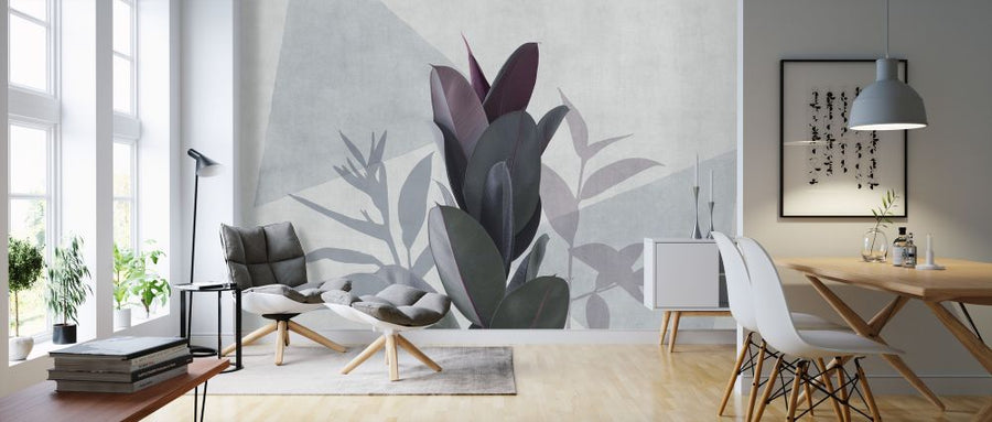 PHOTOWALL / Ficus Elastica II (e321282)
