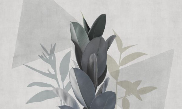 PHOTOWALL / Ficus Elastica III (e321283)
