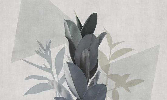 PHOTOWALL / Ficus Elastica III (e321283)
