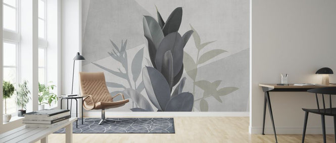 PHOTOWALL / Ficus Elastica III (e321283)