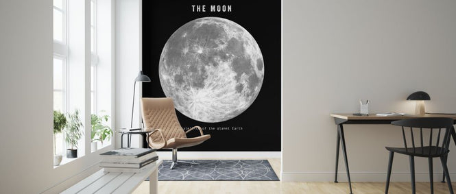 PHOTOWALL / Solar System - Moon Mono (e320056)