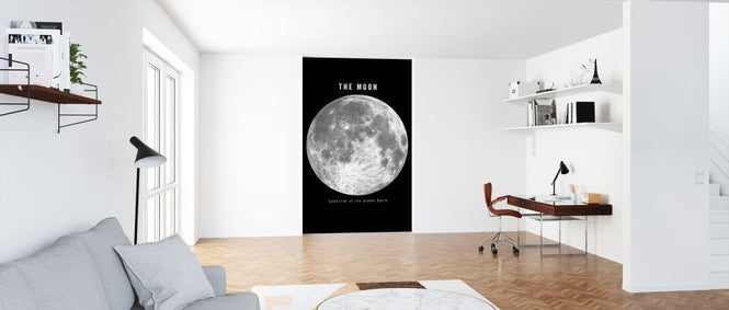 PHOTOWALL / Solar System - Moon Mono (e320056)