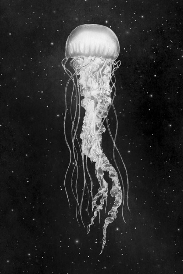 PHOTOWALL / Space Jelly (e320060)