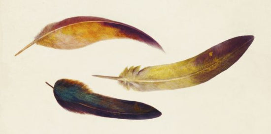 PHOTOWALL / Three Feathers Landscape (e320082)