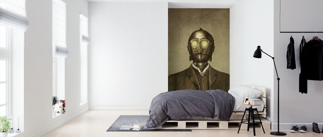 PHOTOWALL / Victorian Wars Baron Von 3PO (e320093)