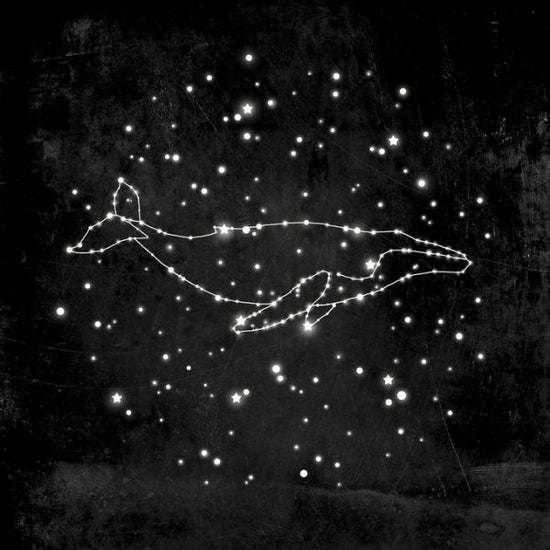 PHOTOWALL / Whale Constellation (e320096)