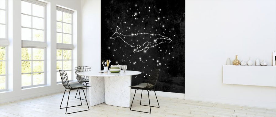 PHOTOWALL / Whale Constellation (e320096)