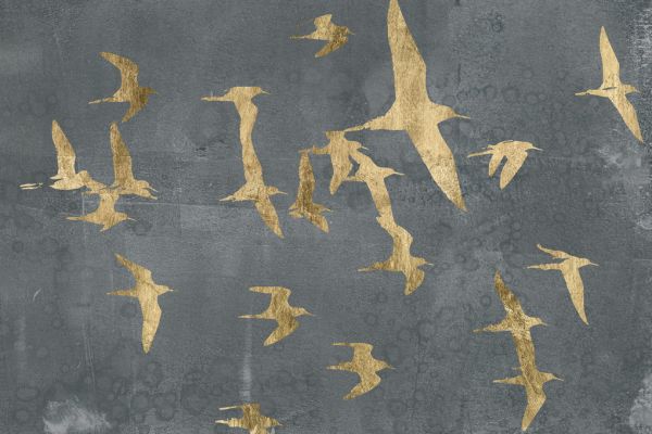 PHOTOWALL / Silhouettes in Flight (e320163)