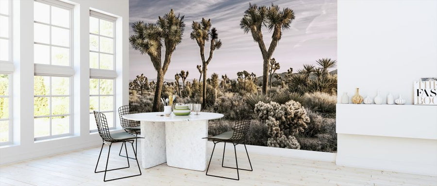 PHOTOWALL / Views of Joshua Tree (e320195)