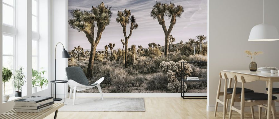 PHOTOWALL / Views of Joshua Tree (e320195)