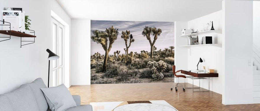 PHOTOWALL / Views of Joshua Tree (e320195)