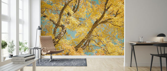 PHOTOWALL / Autumn Tapestry III (e320203)