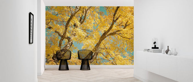 PHOTOWALL / Autumn Tapestry III (e320203)