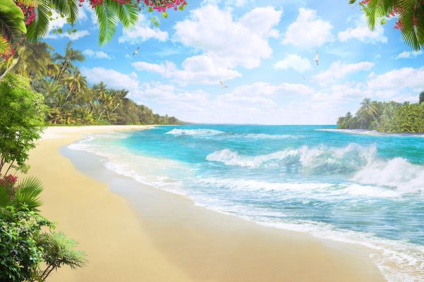 PHOTOWALL / Paradise View (e321573)