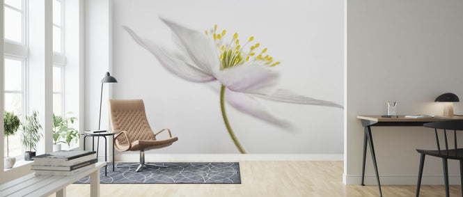 PHOTOWALL / Dandelion (e320708)