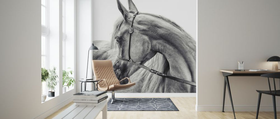 PHOTOWALL / Arabian Horse (e320709)