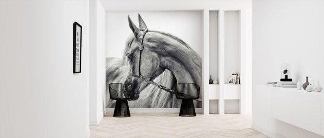 PHOTOWALL / Arabian Horse (e320709)