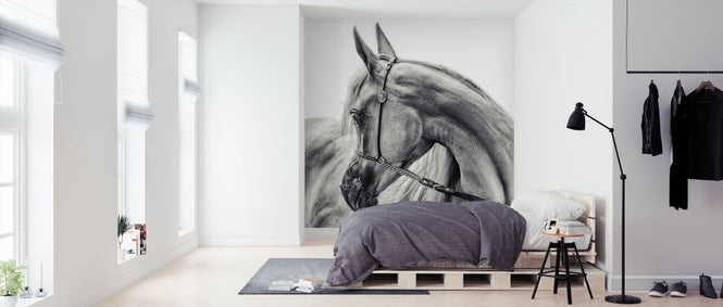 PHOTOWALL / Arabian Horse (e320709)