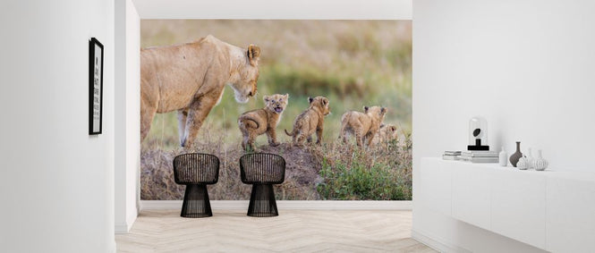 PHOTOWALL / Lion and Cubs (e320721)