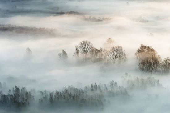 PHOTOWALL / Winter Fog (e320725)