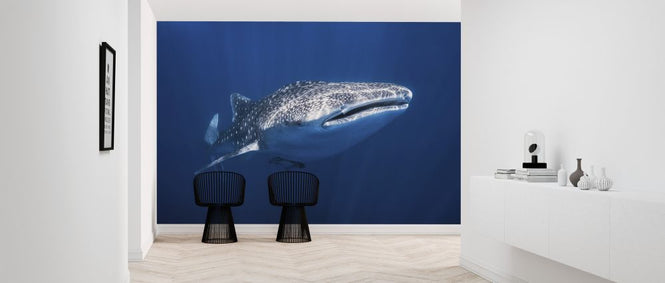 PHOTOWALL / Whale Shark (e320728)