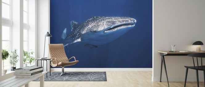 PHOTOWALL / Whale Shark (e320728)