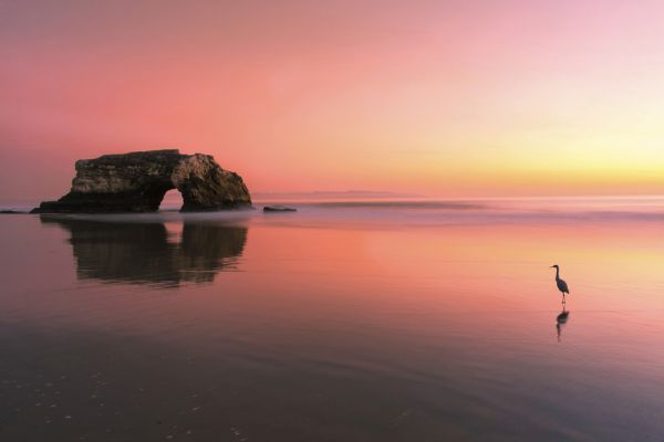 PHOTOWALL / Sunset at the Natural Bridge (e320740)
