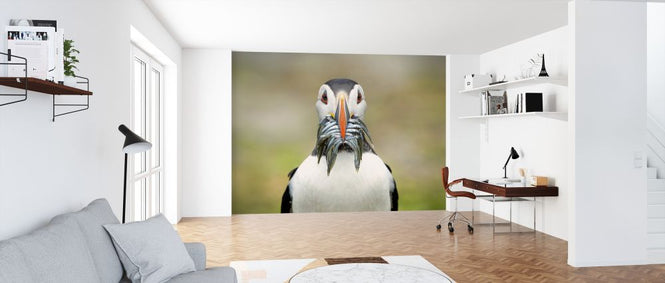 PHOTOWALL / The Big Catch (e320746)
