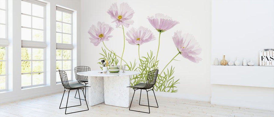 PHOTOWALL / Cosmos Cupcake Flower (e320749)