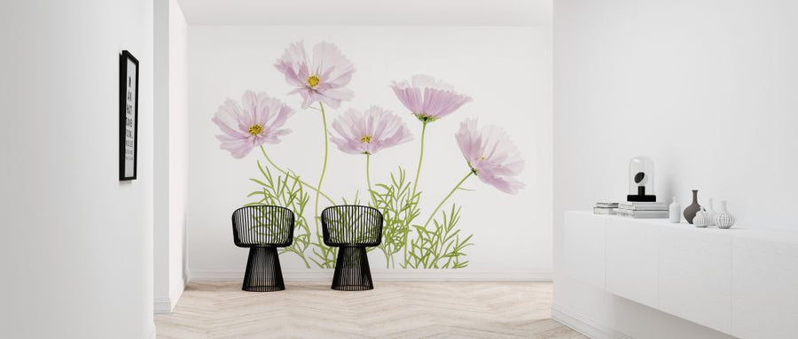 PHOTOWALL / Cosmos Cupcake Flower (e320749)