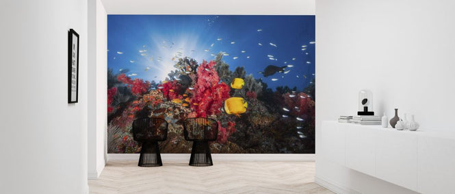 PHOTOWALL / Fish and Coral Reefs (e320751)