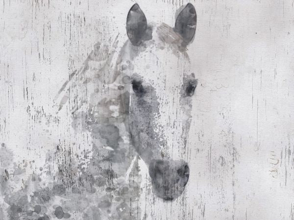 PHOTOWALL / Dapple Horse (e320313)