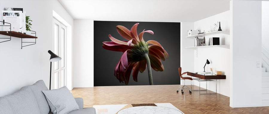 PHOTOWALL / Studio Flowers (e320320)