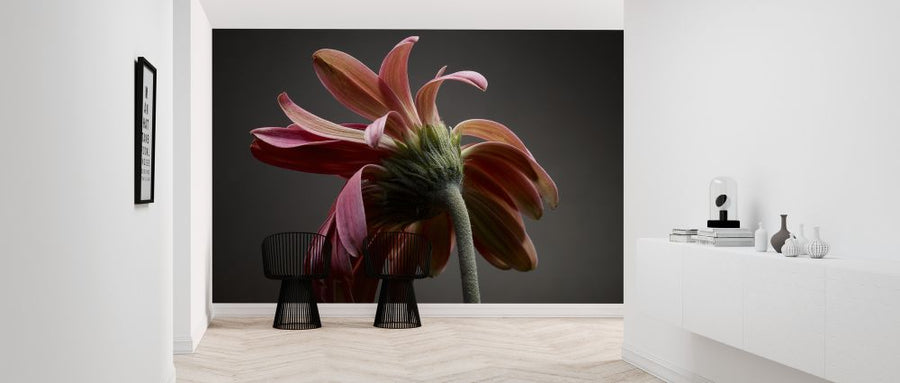 PHOTOWALL / Studio Flowers (e320320)