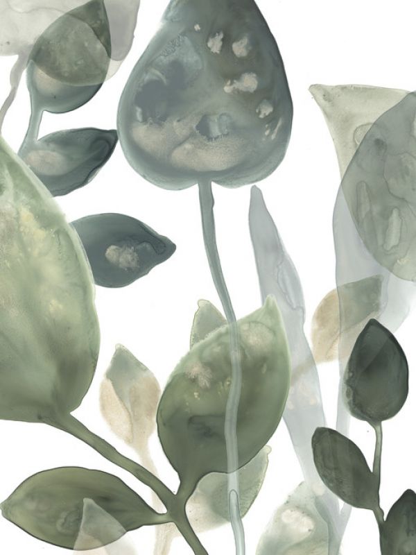 PHOTOWALL / Water Leaves (e320329)