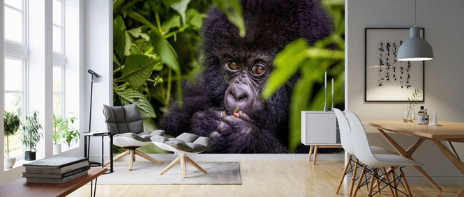 PHOTOWALL / Secret Snack (e321695)