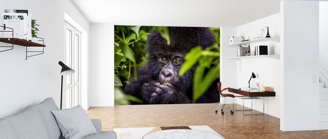 PHOTOWALL / Secret Snack (e321695)