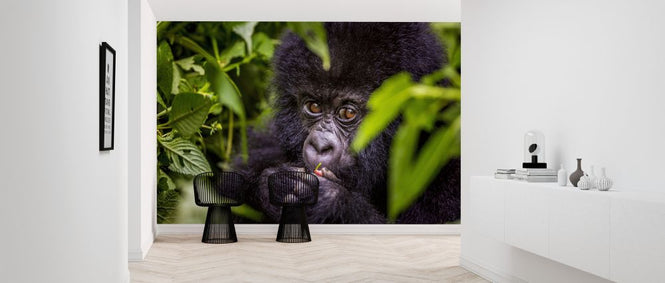 PHOTOWALL / Secret Snack (e321695)