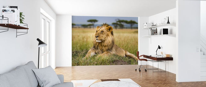 PHOTOWALL / King (e321731)