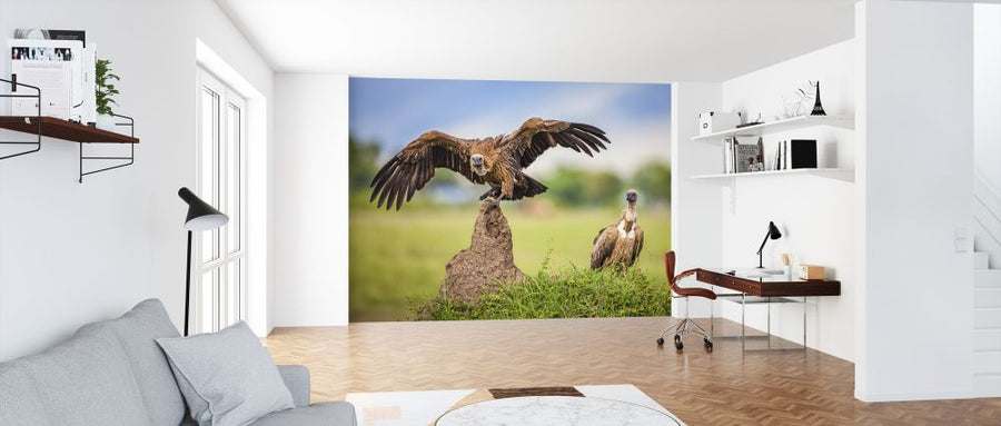PHOTOWALL / Emergency Landing (e321737)