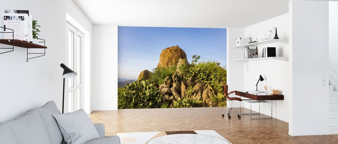 PHOTOWALL / Baboon Rock (e321745)