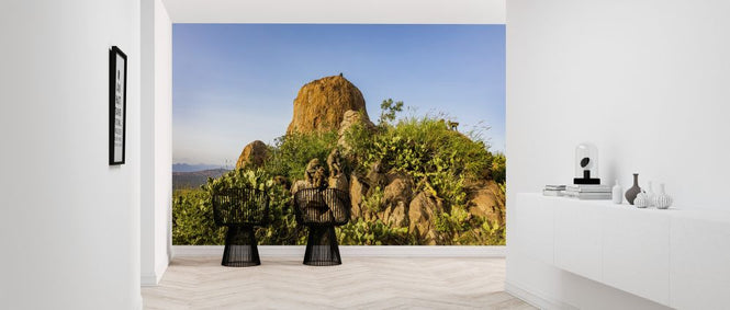 PHOTOWALL / Baboon Rock (e321745)