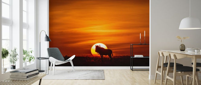 PHOTOWALL / Sunset Sentinel (e321751)